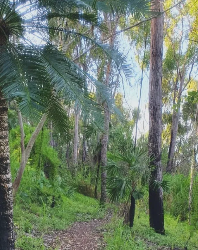 Charles Darwin National Park