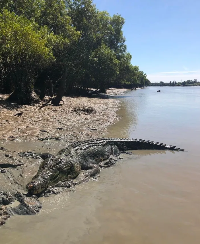 Northern territory