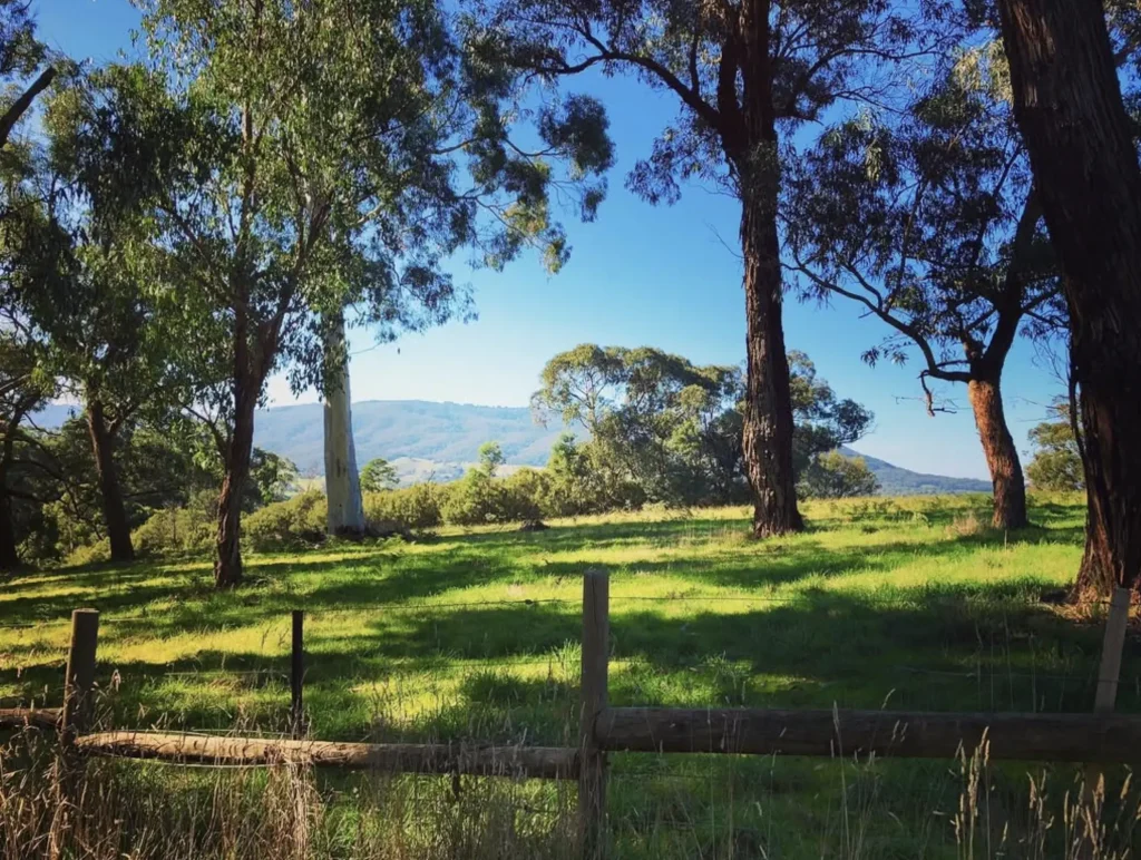 Warramate Hills Nature Conservation Reserve