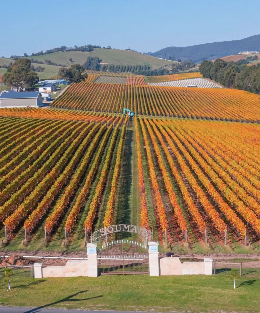 Yarra Valley