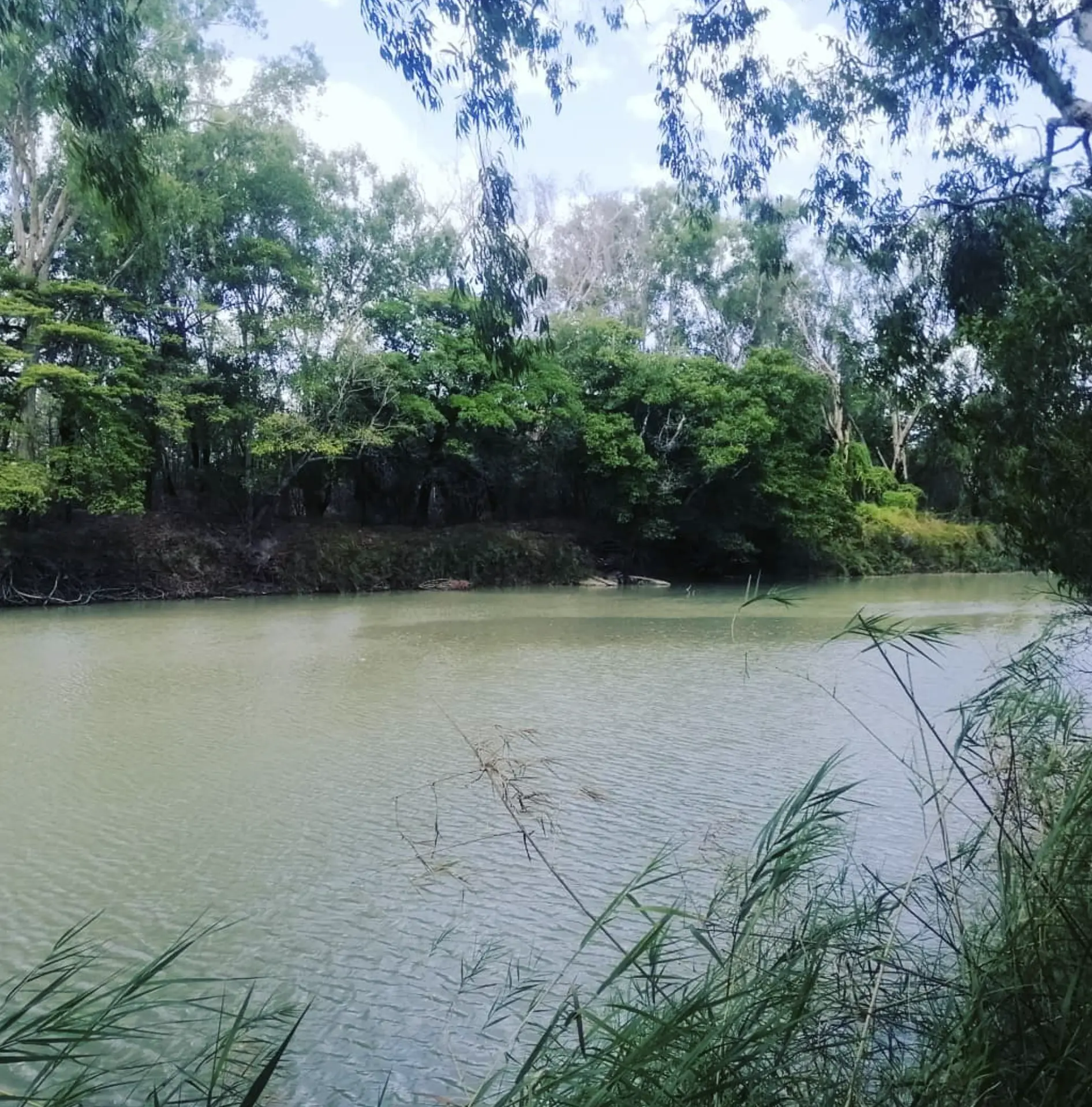 Kakadu Crocodiles River