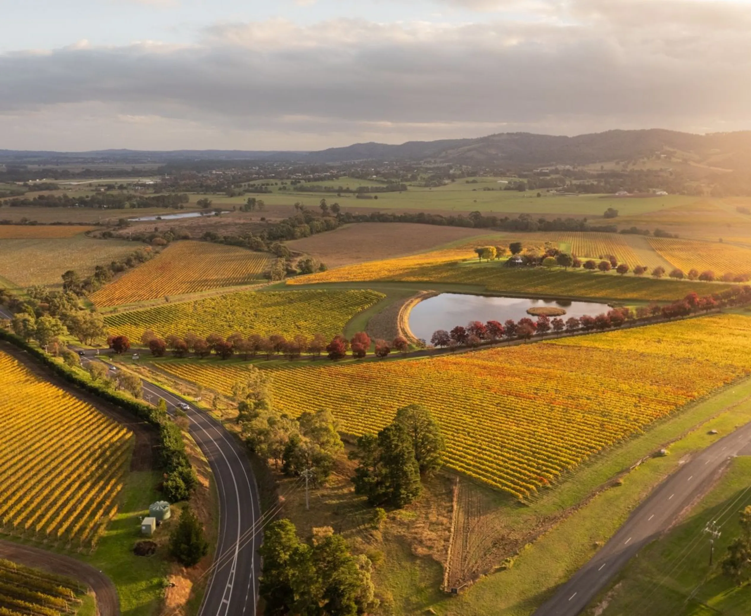 Yarra Valley harvest season