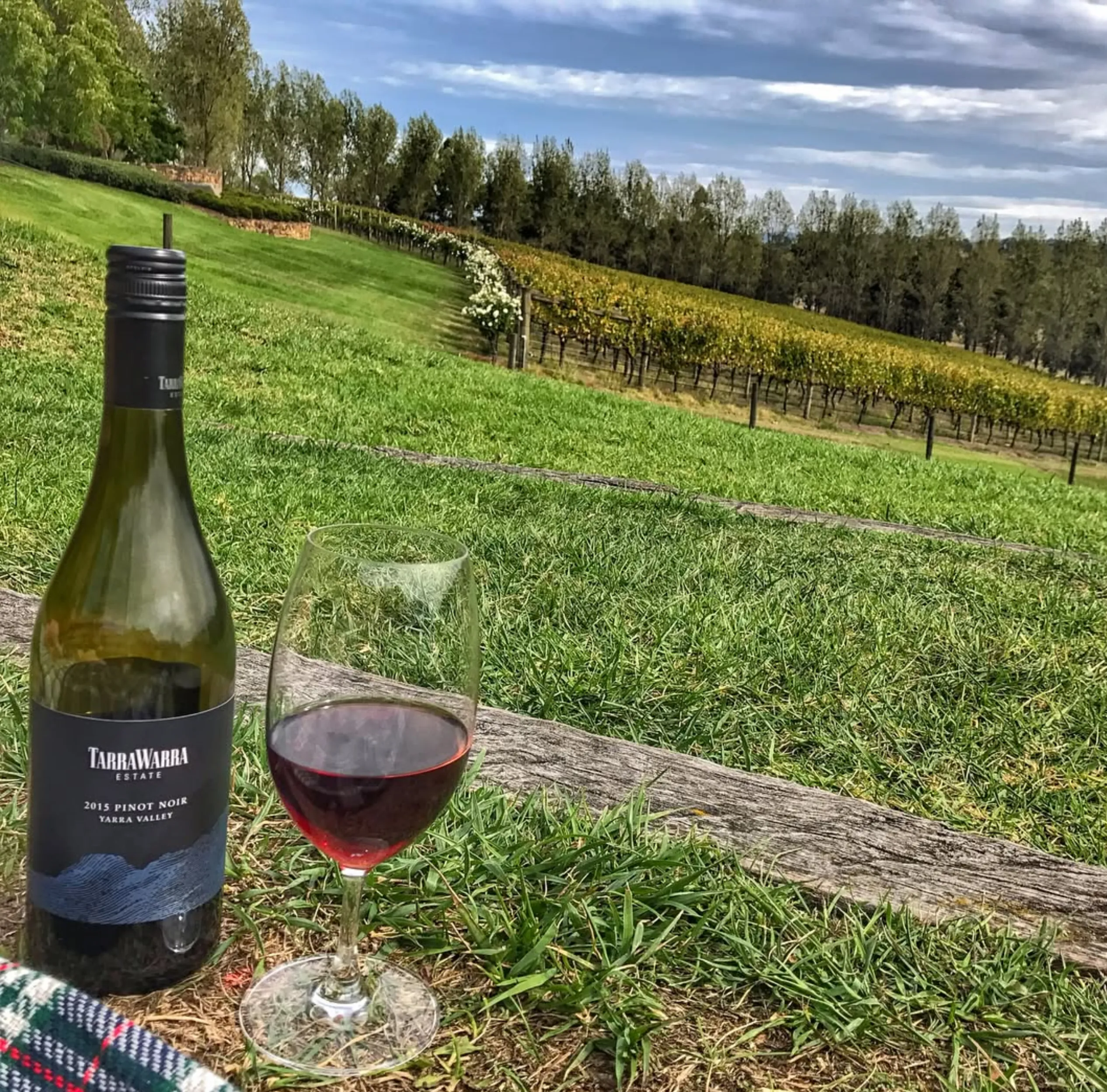 Yarra Valley vineyards seasons