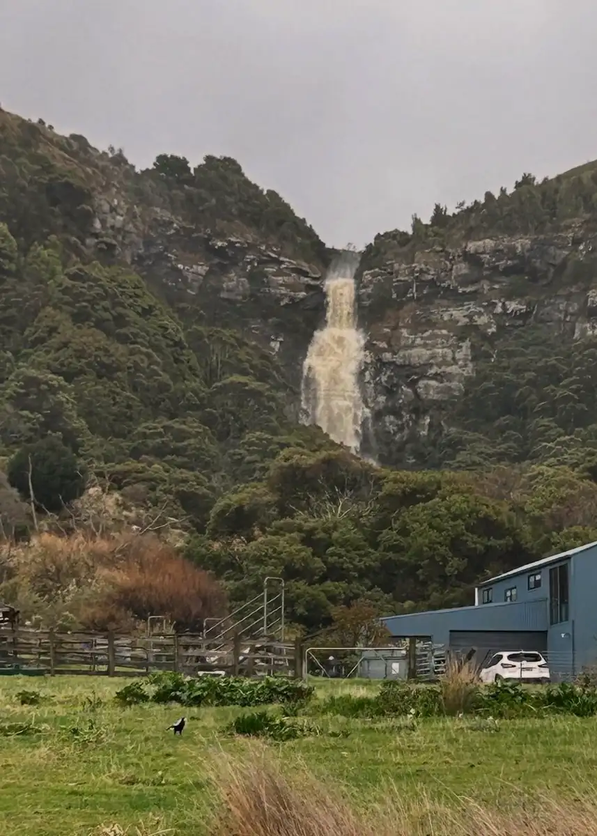great ocean road tours